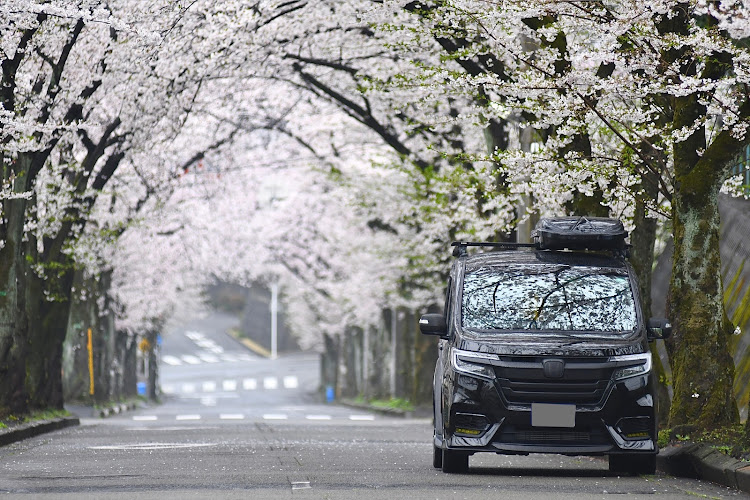 ステップワゴンのステップワゴンスパーダ・サクラと愛車・桜とコラボ・カメ活に関するカスタム事例の投稿画像3枚目