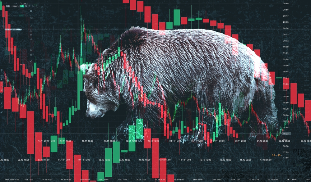 cryptocurrency bear market