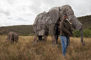 It’s hard work to make the elephant move and breathe, says Angelo Endley who worked the head of the life-size elephant puppet in 2016.