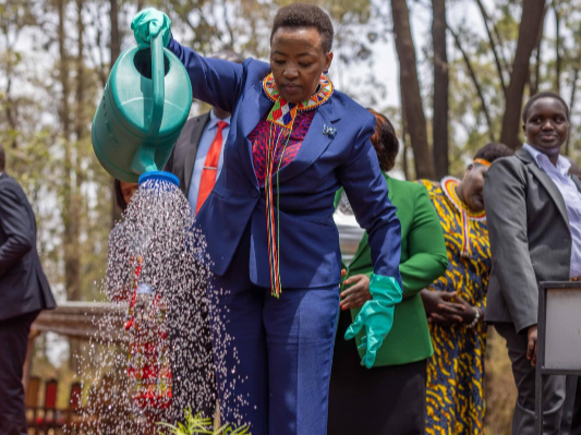 First lady Rachael Ruto planting a tree.