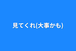 見てくれ(大事かも)