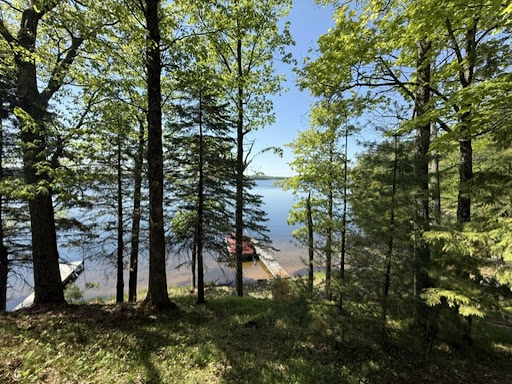 Lake view through trees, dock in this luxury house for sale in Hayward ($319,000)