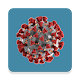 Coronavirus Live Updates Install on Windows