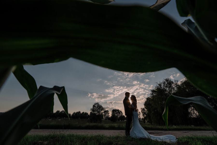 Huwelijksfotograaf Predrag Zdravkovic (predragzdravkov). Foto van 4 augustus 2018