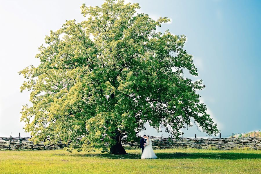 Wedding photographer Aydar Khanafiev (aidar73). Photo of 29 August 2017