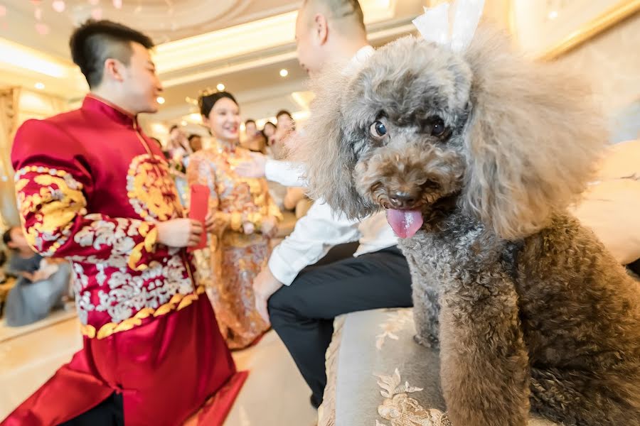 Fotógrafo de bodas Lei Liu (liulei). Foto del 14 de junio 2019