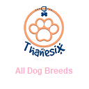 All Dog Breeds - Types Of Dogs - Thanesix.com