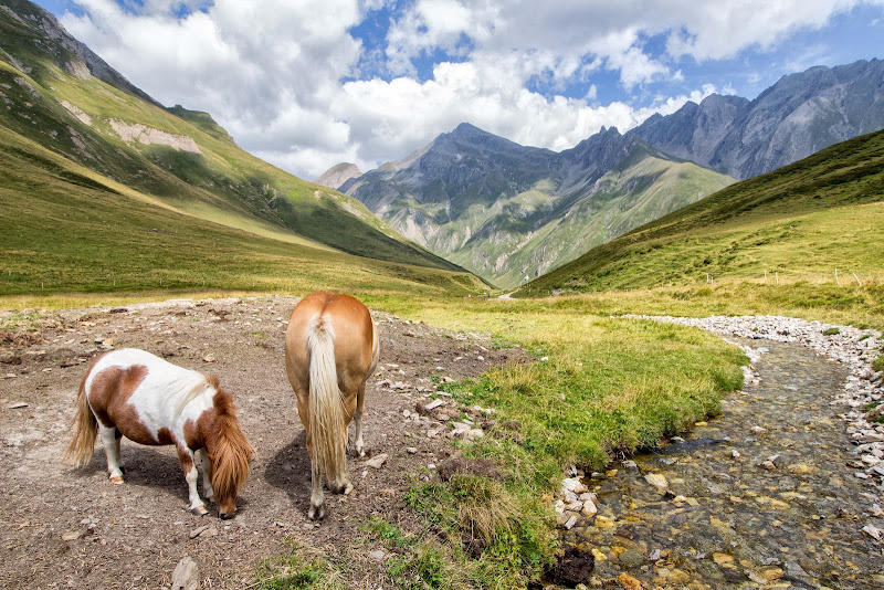 Passeggiando in montagna di Gianluca Presto