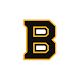 Download Boston Bruins Goal Horns For PC Windows and Mac