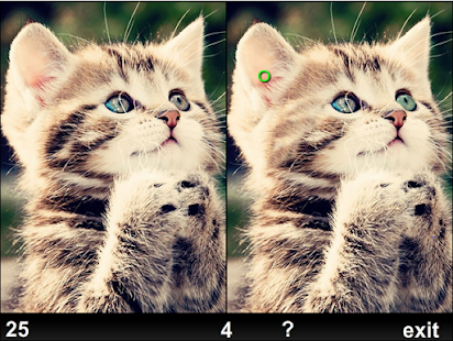 How to download Spot the Difference: Kittens 1.0 mod apk for android