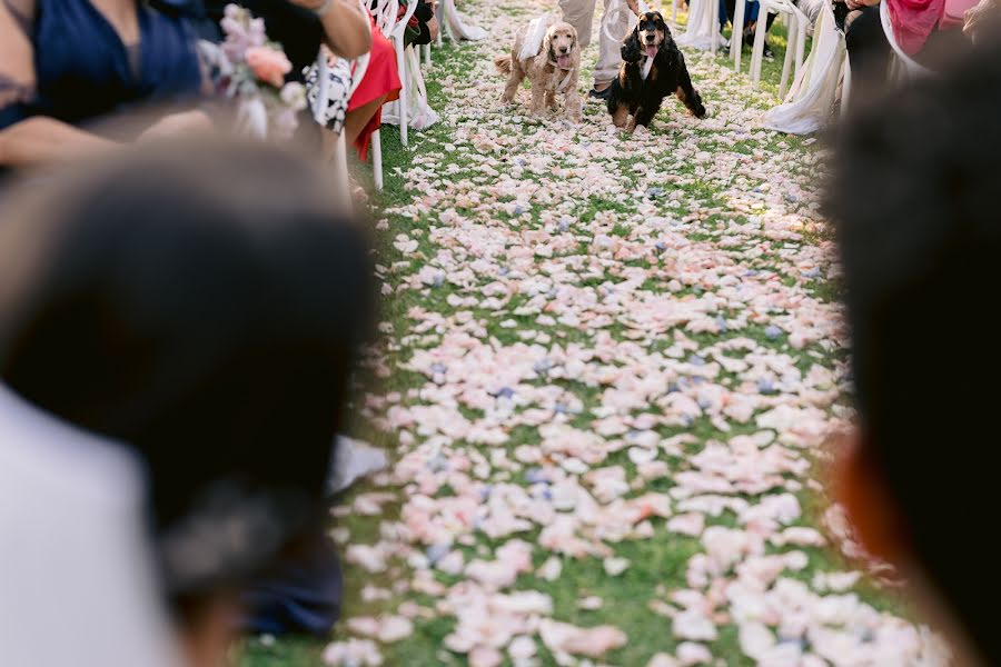 Wedding photographer Marco Colonna (marcocolonna). Photo of 1 December 2023