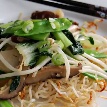 10 Best Chow Mein Bean Sprouts Recipes