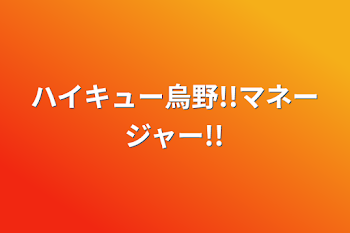 ハイキュー烏野!!マネージャー!!