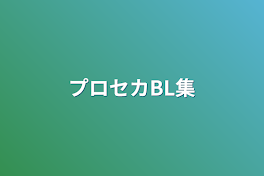 プロセカBL集