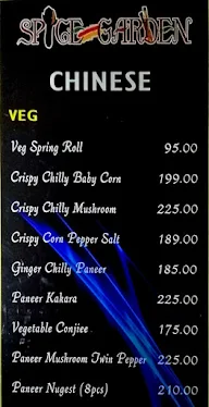 Spice Garden menu 8