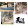 miniatures image - 2