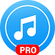 Music Player Pro (Paid - No Ads) Download on Windows