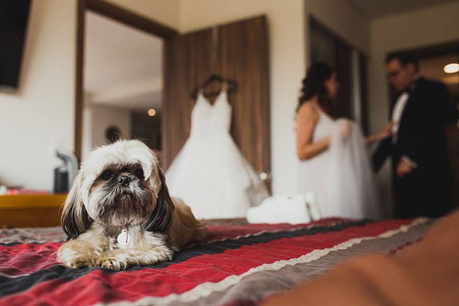 Fotógrafo de casamento Elena Orozco (elenaorozco). Foto de 31 de dezembro 2021