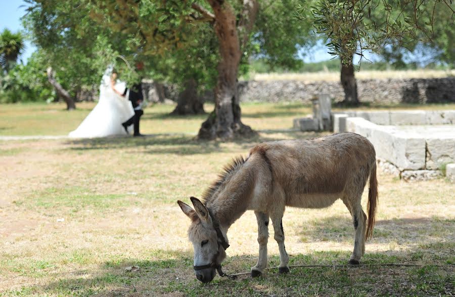 Wedding photographer Diego Latino (latino). Photo of 22 June 2015