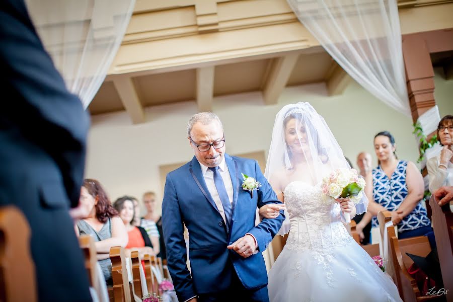 Fotografo di matrimoni Thibault Le Du (photographeledu). Foto del 31 gennaio 2019