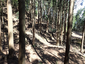 砥山の巻道を進む