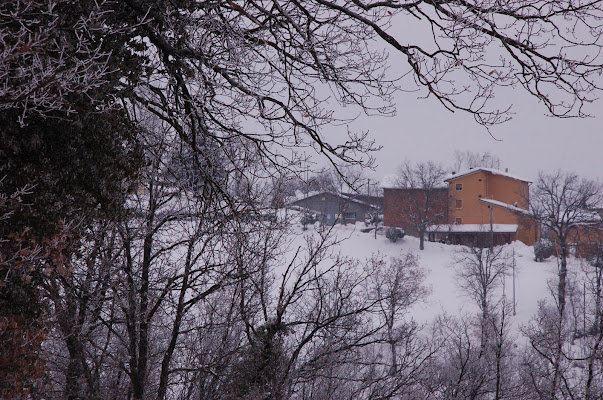 cornice di rami di luchetto