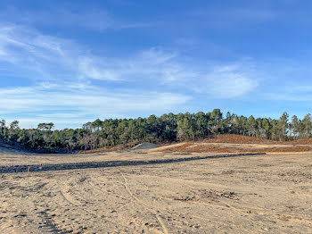 terrain à Labenne (40)