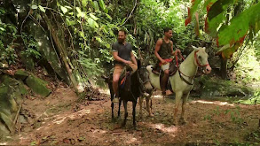 Colombian Rainforest thumbnail