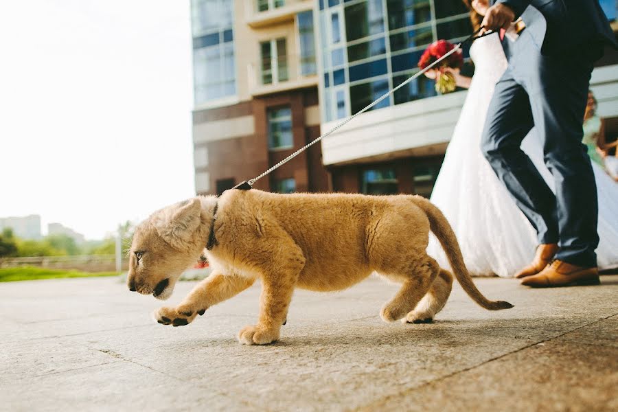 Photographe de mariage Egor Zhelov (zhelov). Photo du 26 juillet 2015