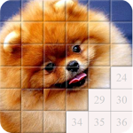 Cover Image of Download Puzzles and Guess the Breed of Dogs 2.0.4 APK