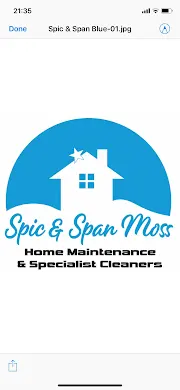 Spic and Span Moss Logo