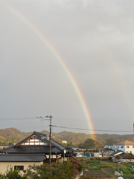 の投稿画像3枚目