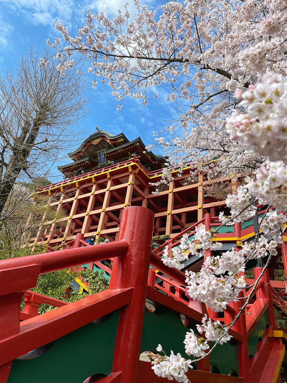 フィガロの祐徳稲荷神社・桜コラボに関するカスタム事例の投稿画像8枚目