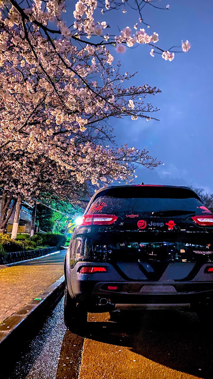 チェロキーの桜と愛車・夜桜コラボ・雨🇺🇸桜🇯🇵・アメ車好きと繋がりたい・戦略的にピックアップを狙う10に関するカスタム事例の投稿画像5枚目