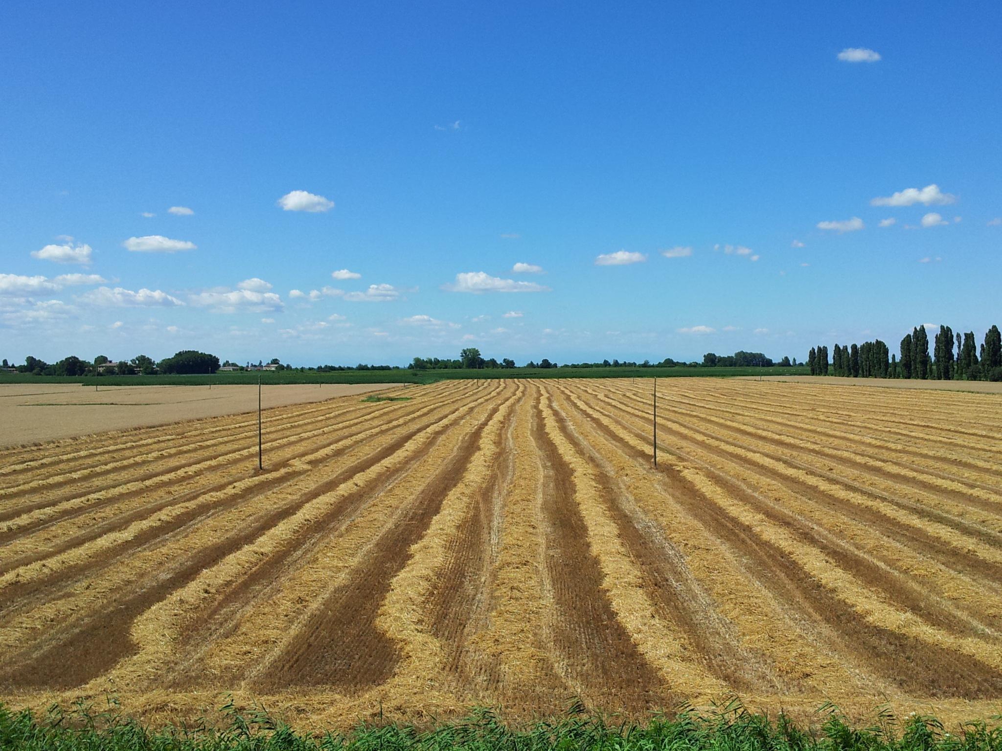 Campo arato di joysphoto