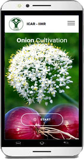 Screenshot Onion Cultivation IIHR