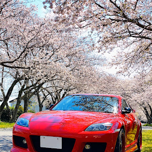 RX-8 SE3P