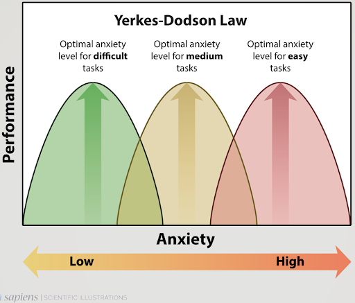 Yerkes-Dodson Law
