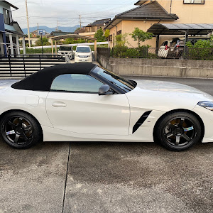 Z4 ロードスター G29