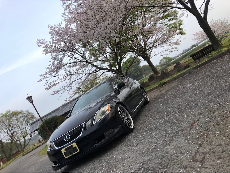 GSの桜・桜とコラボ・桜と愛車・LEXUS gsに関するカスタム事例の投稿画像1枚目