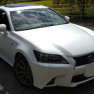 GS ARL10