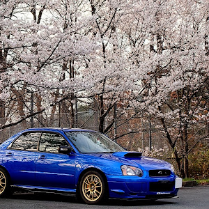 インプレッサ WRX STI GDB