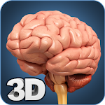 Cover Image of Baixar Brain Anatomy Pro. 1.1 APK