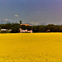 Giallo e blu a perdita d'occhio di 