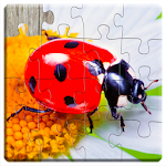 Cover Image of Download Insect Jigsaw Puzzles Game - For Kids & Adults 🐞 21.5 APK