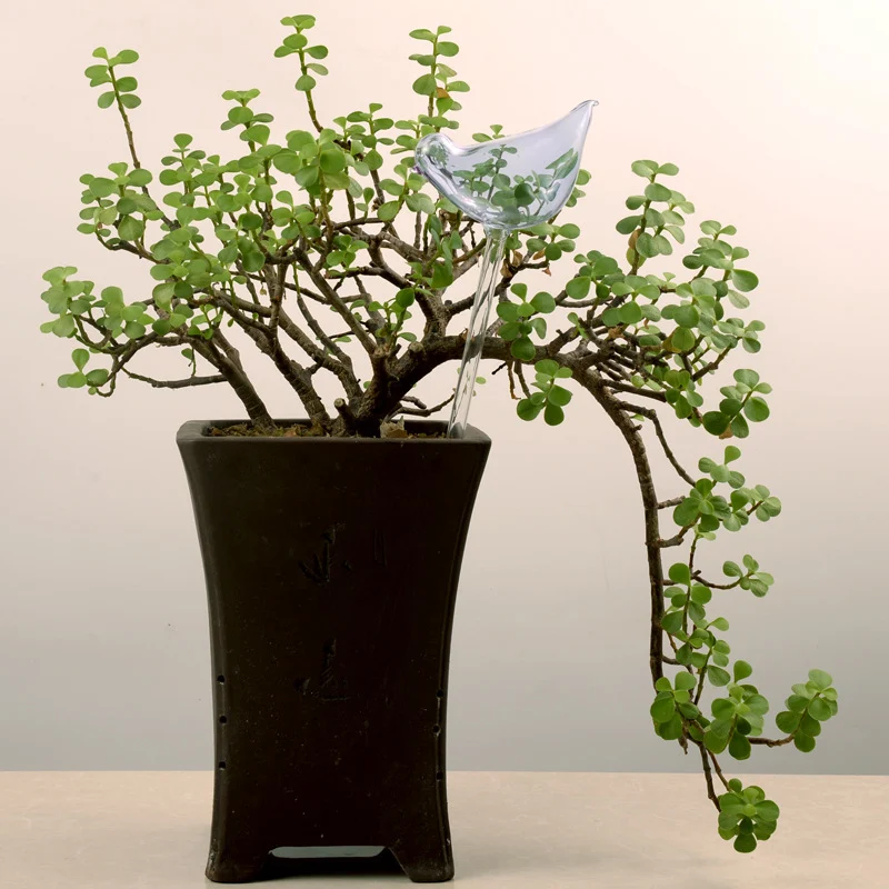 Bird Automatic Watering Device Transparent Glass Pastoral Decorations Effortless plant care with an elegant, rustic aest
