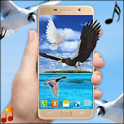 Flying Birds Live Wallpaper 3D Phone Backgrounds  Icon