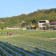 大湖酒莊