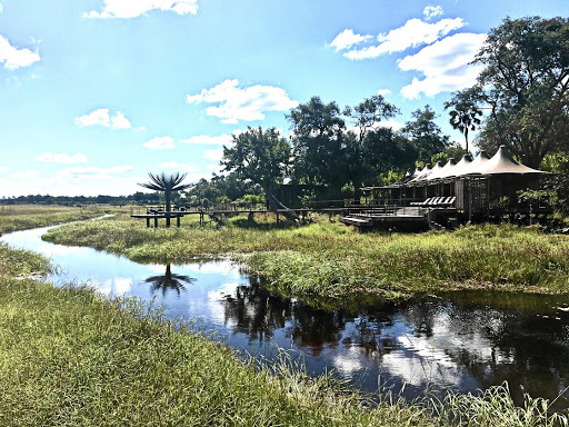 Xigera Safari Lodge, alongside the Xigera Channel in the Moremi Game Reserve, is all subtle wood and undulating canvas under a canopy of trees.