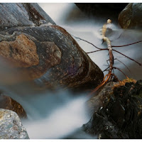 Tra le rocce del torrente di 